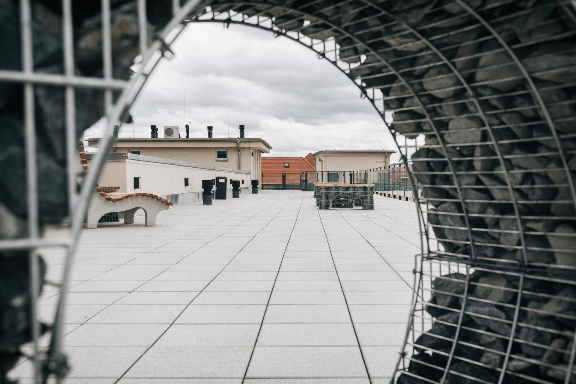 Oasis Appart - Wohnen In Dresden - Netflix - Tiefgarage - Dachterrasse Buitenkant foto